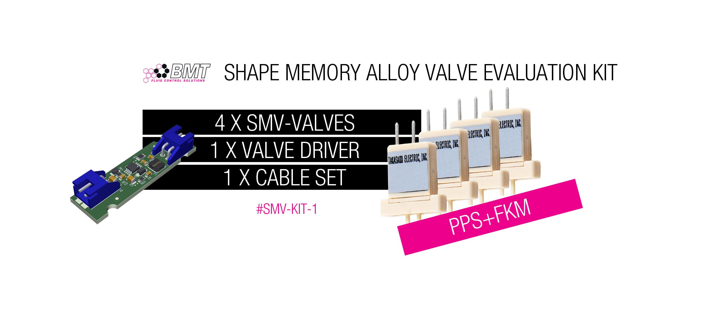 SMV Valve Evaluation-Kit 1