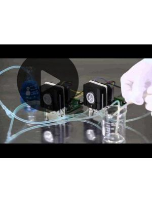 OEM peristaltic pump T100&WX10<= 40ml/min