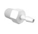 Adapter 1/8 NPT Thread x 1/8 Barb in White Polypropylene